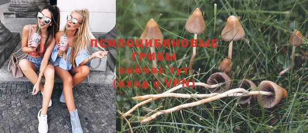 винт Вяземский