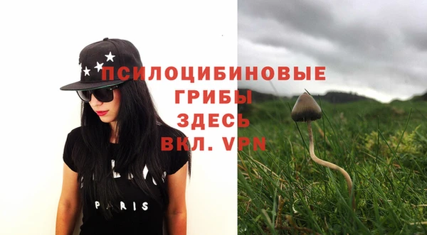 винт Вяземский