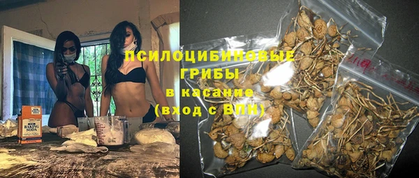 винт Вяземский