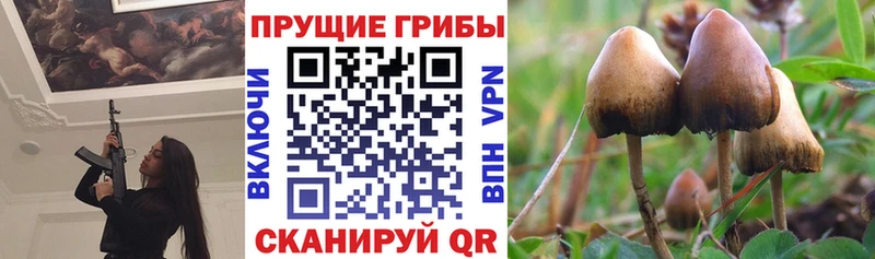 Галлюциногенные грибы GOLDEN TEACHER  Купить где  Любим 