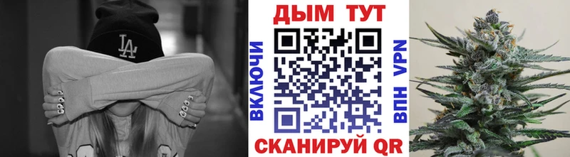 Бошки марихуана ГИДРОПОН  Купить где  Любим 